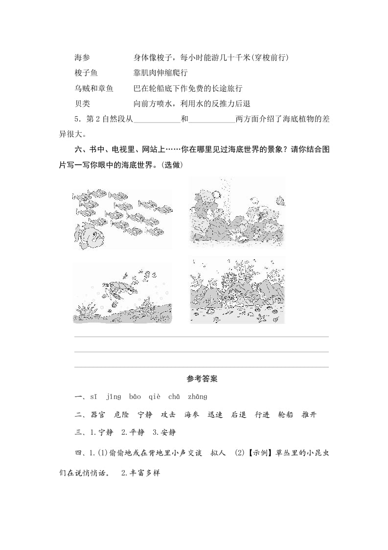 图片[3]-三年级语文下册23海底世界-学科资源库