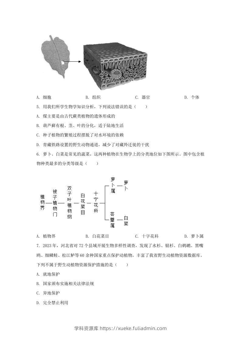 图片[2]-2024年河北邢台中考生物试题及答案(Word版)-学科资源库