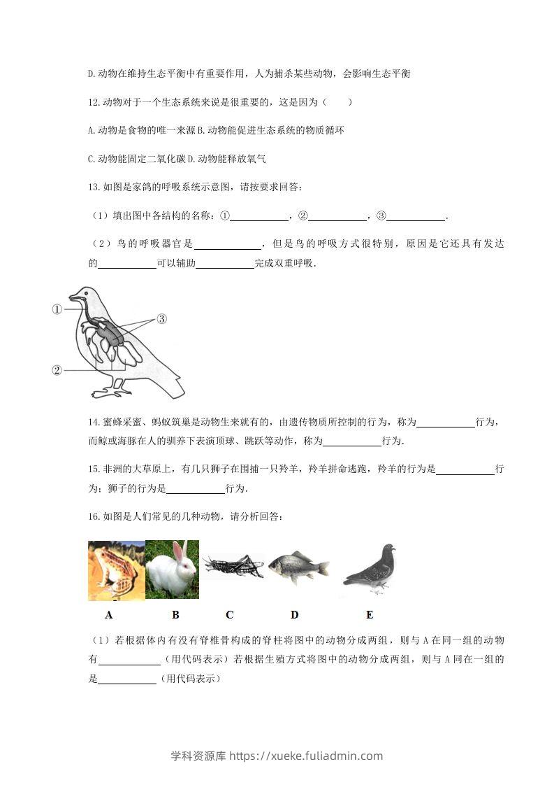 图片[3]-2020-2021学年湖北省黄冈市红安县八年级上学期期中生物试题及答案(Word版)-学科资源库