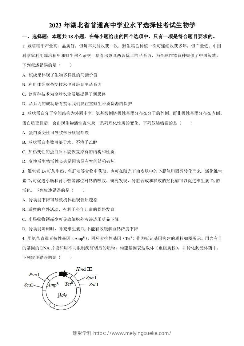 2023年高考生物试卷（湖北）（空白卷）-学科资源库